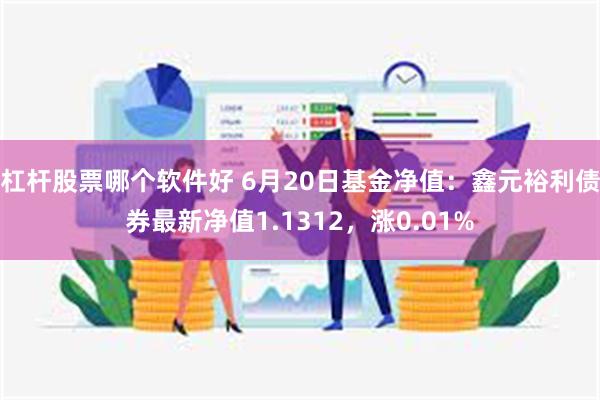 杠杆股票哪个软件好 6月20日基金净值：鑫元裕利债券最新净值1.1312，涨0.01%