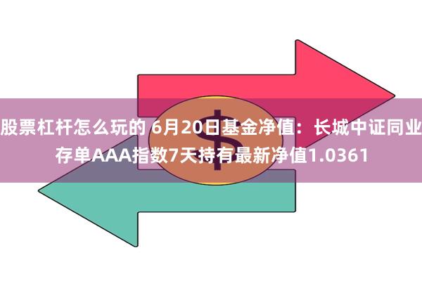 股票杠杆怎么玩的 6月20日基金净值：长城中证同业存单AAA指数7天持有最新净值1.0361