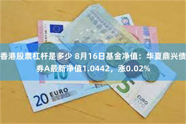 香港股票杠杆是多少 8月16日基金净值：华夏鼎兴债券A最新净值1.0442，涨0.02%