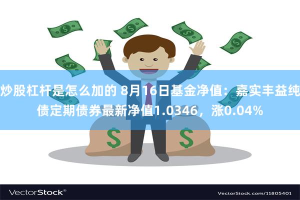 炒股杠杆是怎么加的 8月16日基金净值：嘉实丰益纯债定期债券最新净值1.0346，涨0.04%