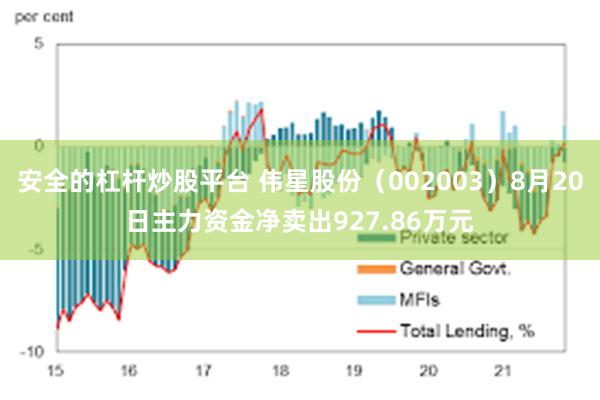 安全的杠杆炒股平台 伟星股份（002003）8月20日主力资金净卖出927.86万元