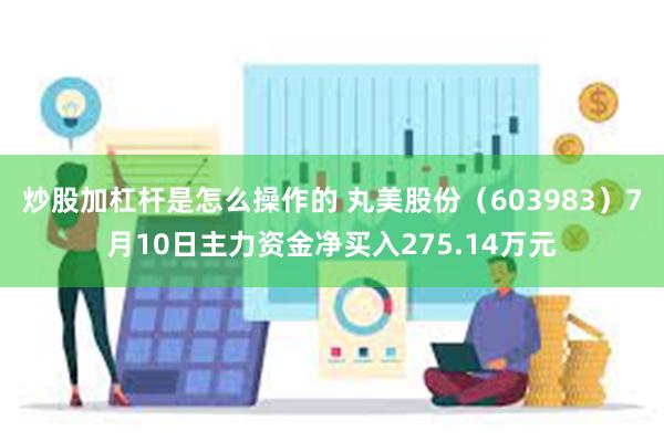 炒股加杠杆是怎么操作的 丸美股份（603983）7月10日主力资金净买入275.14万元