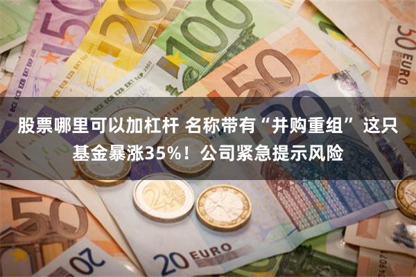 股票哪里可以加杠杆 名称带有“并购重组” 这只基金暴涨35%！公司紧急提示风险