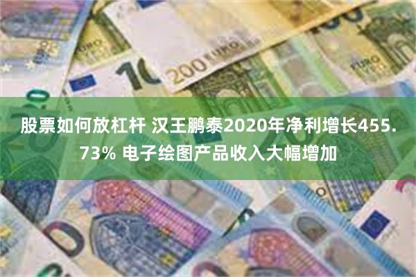 股票如何放杠杆 汉王鹏泰2020年净利增长455.73% 电子绘图产品收入大幅增加