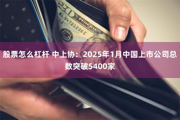 股票怎么杠杆 中上协：2025年1月中国上市公司总数突破5400家