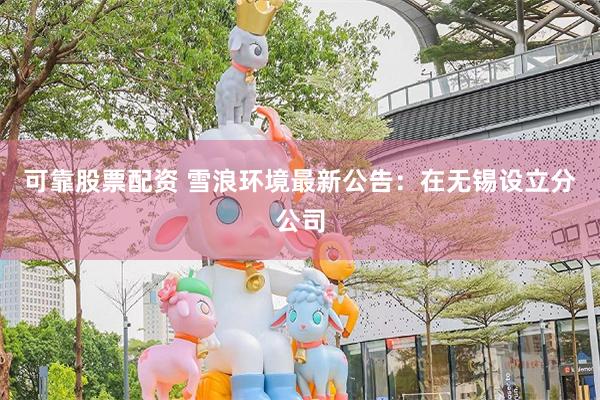 可靠股票配资 雪浪环境最新公告：在无锡设立分公司