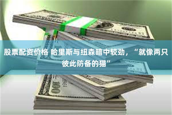 股票配资价格 哈里斯与纽森暗中较劲，“就像两只彼此防备的猫”