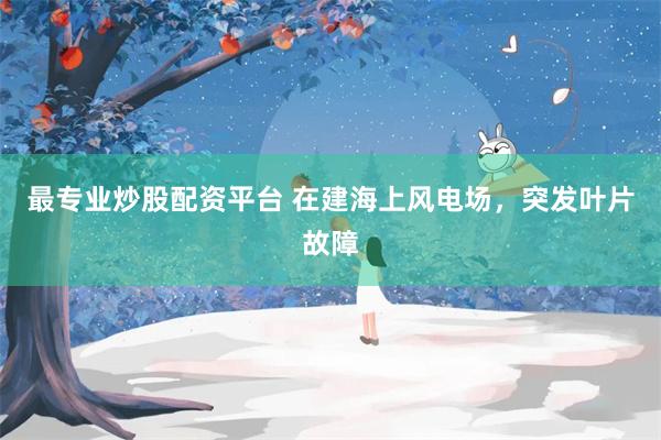 最专业炒股配资平台 在建海上风电场，突发叶片故障