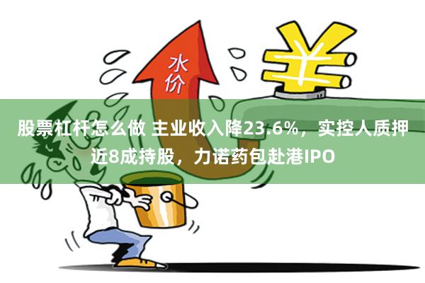股票杠杆怎么做 主业收入降23.6%，实控人质押近8成持股，力诺药包赴港IPO